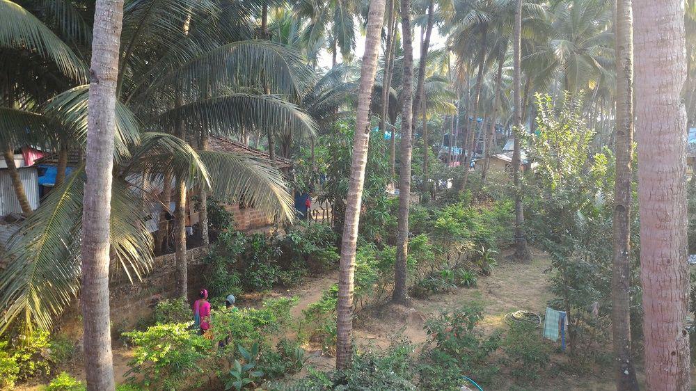 Hotel La Alegro Palolem Esterno foto